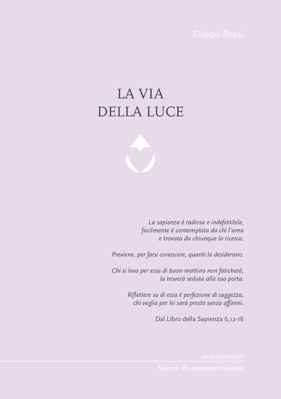Cover of the book La Via della Luce